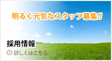 採用情報